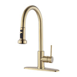 Stainless Steel Pull Down Kitchen Faucet with Sprayer Brushed Gold JYBB412BG