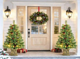 4ft Pre Lit Artificial Christmas Tree Set of 2 Xmas Pine Trees Dual Color LED Remote Green 72719239