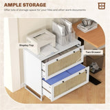 File Cabinet/ Storage cabinet 74438568