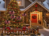 6PCS Set 3.9" Christmas Glass Ball Ornaments 3.9x3.9x3.9in Christmas Tree Hanging Decorations for 84434848