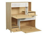 Modern 2 IN 1 Cat Furniture, Cat Litter Box Enclosure Side Table, Cat House with Storage, for 2 N752P394342N