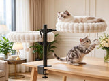 Indoor Cat Desk Hammock Bed, 2 Removable Beds with 2 Hanging Balls for Desk & Window, Holds Up to 24 T3971P612035