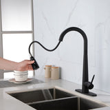 ZNTS Kitchen Faucets with Pull Down Sprayer, Kitchen Sink Faucet with Pull Out Sprayer, Fingerprint 88256761