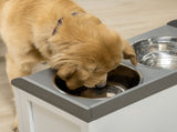 Elevated Dog Bowl 39399193