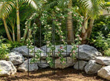2 Pack 71 x 20 in Rustproof Metal Garden Trellis for Climbing Plants, Decorative Support for Roses, 33965153