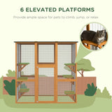 Cat House 86546428