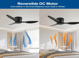 40" Flush Mount Ceiling Fan without light, 3 Reversible Blades, with 6 Speeds Reversible DC W2352P194033