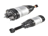 2 pcs Rear LeftRight Side LR016402 Air Suspension Struts Replacement for Land Rover Range Rover 04332035