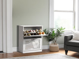 2-door louvered shoe cabinet 40186736