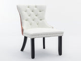 A&A Furniture,Nikki Collection Modern, High-end Tufted Solid Wood Contemporary PU and Velvet W1143P357046