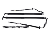 2x Tailgate Power Trunk Hatch Lift Support Shock Fit for Toyota RAV4 Limited 2.5L L4 44436334