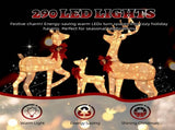 3-Piece Lighted Christmas Reindeer Set Outdoor Decorations, Weather Proof Sparkling Deer 40145997
