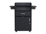 Beauty Salon Trolley Cart, Salon Cabinet with 360&deg Wheels, 6 Tool Holders, 1 Drawer, Salon 91669942