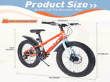 20 Inch Kids Bicycles , Fat Tire Mountain Bike for Boys and Girls Age 5 Years ,7-Speed Dual-Disc W1019P203873