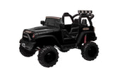 ZNTS 24V 9Ah Ride on Toy for Big Kids, 2-Seater Powered Ride-on Truck Car with Remote,black W2058P203308