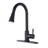 Pull Down Kitchen Faucet with Sprayer Stainless Steel Matte Black JYD3411MB