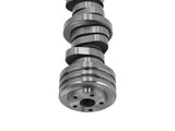 Hydraulic Roller Camshaft fit for Dodge Ram 2500 3500 5.7L Hemi 2009-2018 53022314AD 13837908
