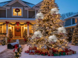 6PCS Set 3.9" Glass Christmas Ornaments Decorative Hanging Balls for Tree & Holiday Party Decor 97954427