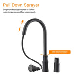 Kitchen Sink Faucet with Separate Handle, Matte Black W1243P324190