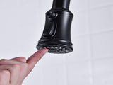 Pull Down Double Handle Kitchen Faucet 15569694