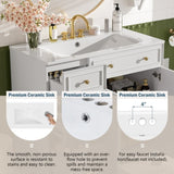 36" Bathroom Vanity with Ceramic Sink, Standard and Double-Layer Drawers, Soft Close Doors, N729P289163K