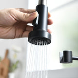 Commercial Black and Nickle Faucet with Pull Down Sprayer, Single Handle Single Lever W1932P172324