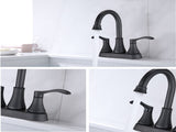 2-handle Lavatory Faucet Bathroom Sink Faucet DS-02-CD-011-541-MB