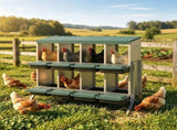 Chicken Nesting Box 55176066