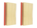 2Pcs Engine Air Filter fit for Land Rover LR4 5.0L 2010-2013 CA11062 AH429610AA 60949769