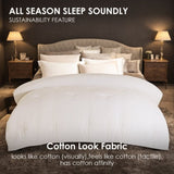 Two-pack of 100% polyester brushed single comforters with microfiber filling, down 81210315