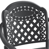 Cast Aluminum Patio Dining Chair 4PCS With Black Frame and Cushions In Random Colors W1710P166054