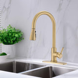 Pull Down Kitchen Faucet with Sprayer Stainless Steel Brushed Gold JYD3411BG