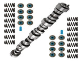 Camshaft & Valve Springs & Seals Kit fit for LS Truck 4.8L 5.3L 5.7L 6.0L 6.2L New 54804309