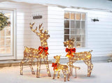 3-Piece Lighted Christmas Reindeer Family Outdoor Decorations, Weather Proof Rattan Deer Family 90191164