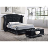 Black Tufted Trunk with Nailhead Trim B062P153844