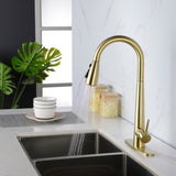 ZNTS Gold Kitchen Faucets with Pull Down Sprayer, Kitchen Sink Faucet with Pull Out Sprayer,Fingerprint 93404954