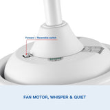 44 In Intergrated LED Ceiling Fan Lighting with White ABS Blade W1367P182803