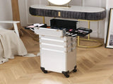 4-in-1 Draw-bar Style Interchangeable Aluminum Rolling Makeup Case Silver 11970627