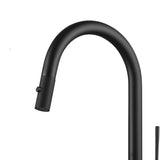 DAX Single Handle Pull Out Kitchen Faucet - Matt Black Finish B2702P227003