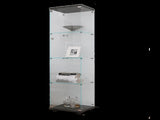 4 Shelves Glass Cabinet Glass Display Cabinet with One Door, Black 77240615