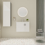 28 Inch Bathroom Vanity with Ceramic Sink, For Small Bathroom, Bathroom Vanity with Soft Close Door W999P146019