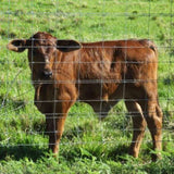 5x164 ft Advanced Weave Farm Enclosures Long-Lasting and Secure Galvanized Farm Fence W2505P298694