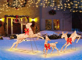 3 Pieces Lighted Christmas Reindeer Christmas decoration 09178562