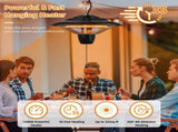 1500W Hanging Halogen Patio Heater, Fanless Electric Ceiling Heater, IP23 Rated, 2 Heat Settings, 16046511