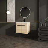 LEVISTAR Oak 24 Inch Bathroom Vanity with resin Countertop Sink, 2 Doors Bathroom Cabinet Set W1972P165042