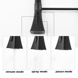 Kitchen Faucet with Pull Down Sprayer W2287P264769