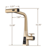 Brushed Gold Waterfall Kitchen Faucet with Temperature Display, Single Handle Kitchen Faucet with W1217P146518