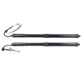 2PCS Rear Power Liftgate Tailgate Lift Support for Toyota RAV4 Prime 2019-2021 71766552