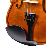 Brand new 1/2 acoustic violin with Hard Case,Violin Bow,Shoulder Rest,Rosin,Extra Strings and 27740187
