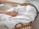 1 PC King/Cal King 100% Cotton Shell Comforter B035P366556